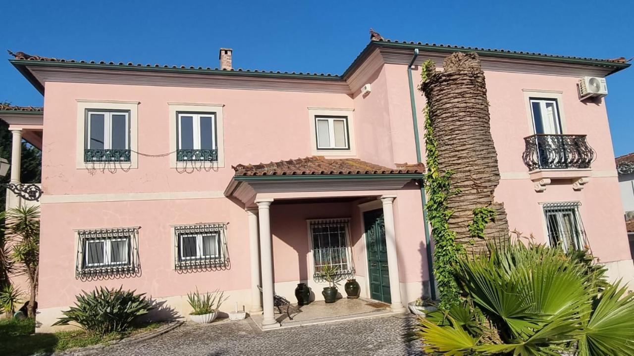 Casa Da Palmeira Leiria Bagian luar foto