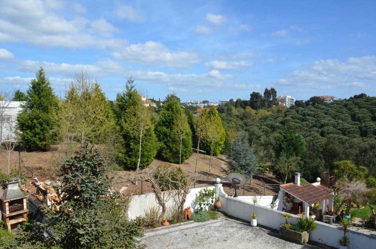 Casa Da Palmeira Leiria Bagian luar foto