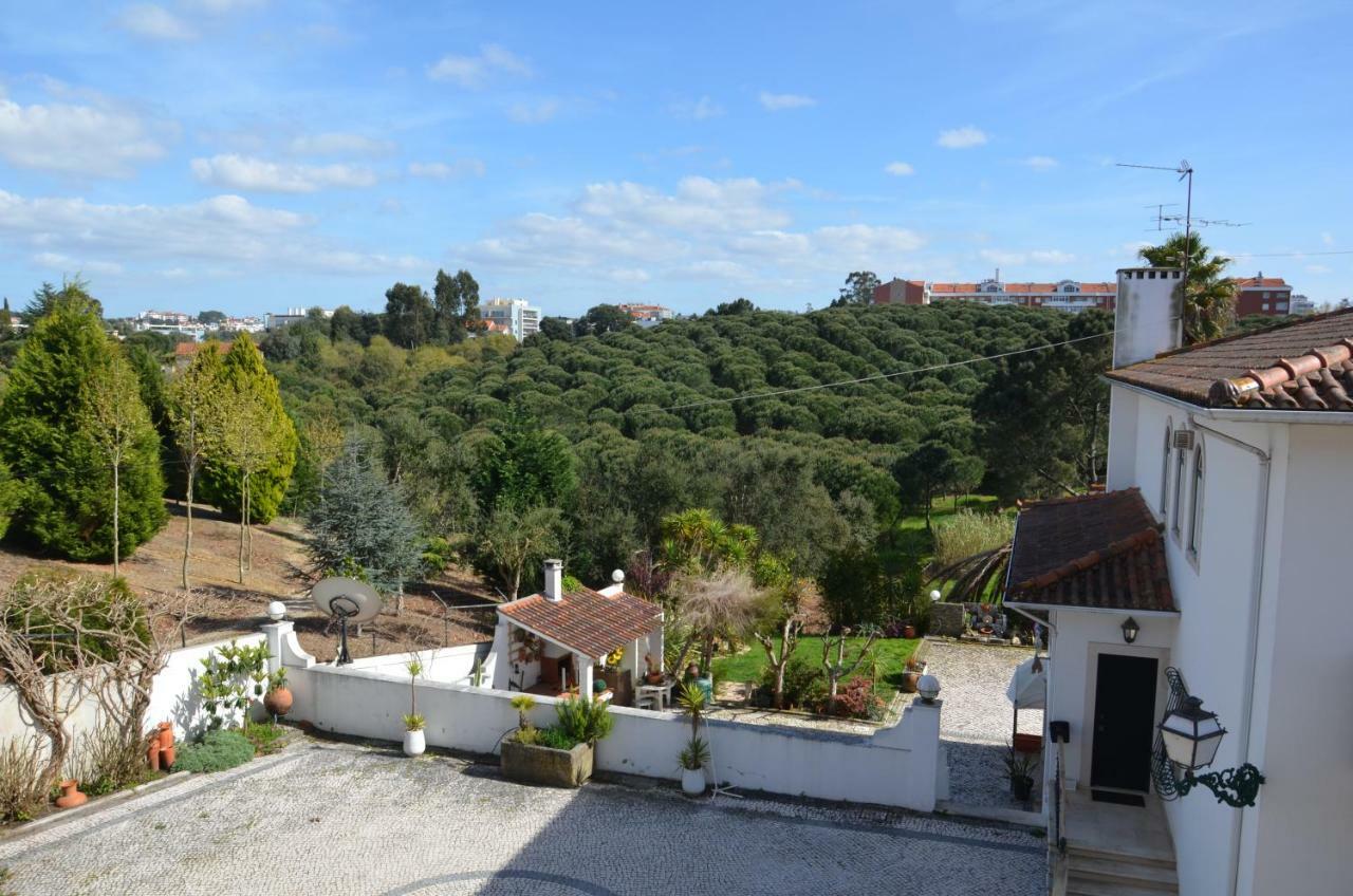 Casa Da Palmeira Leiria Bagian luar foto