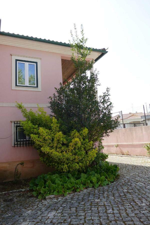 Casa Da Palmeira Leiria Bagian luar foto